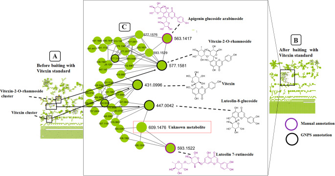 PMC11127828 – Fig3