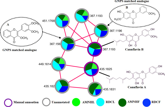 PMC11127828 – Fig4