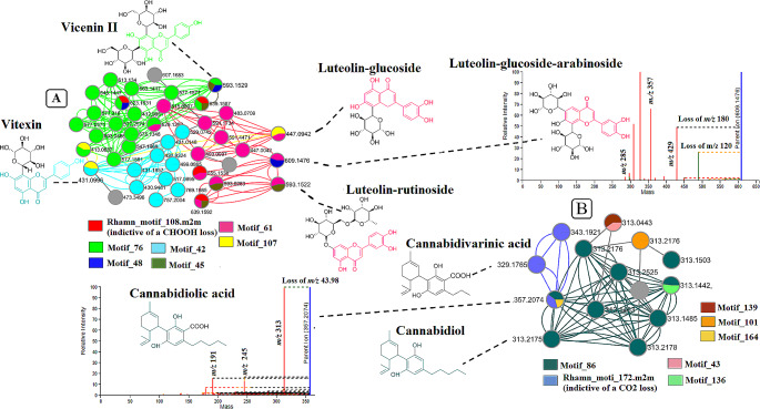 PMC11127828 – Fig5