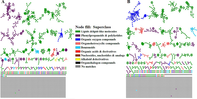 PMC11127828 – Fig6