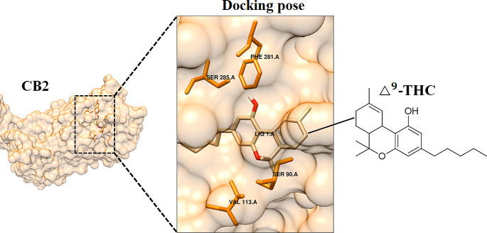 PMC11127828 – Fig7