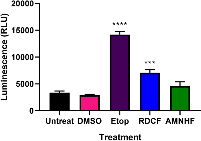 PMC11127828 – Fig8