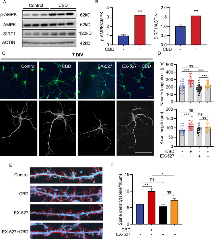 PMC9213613 – Fig7