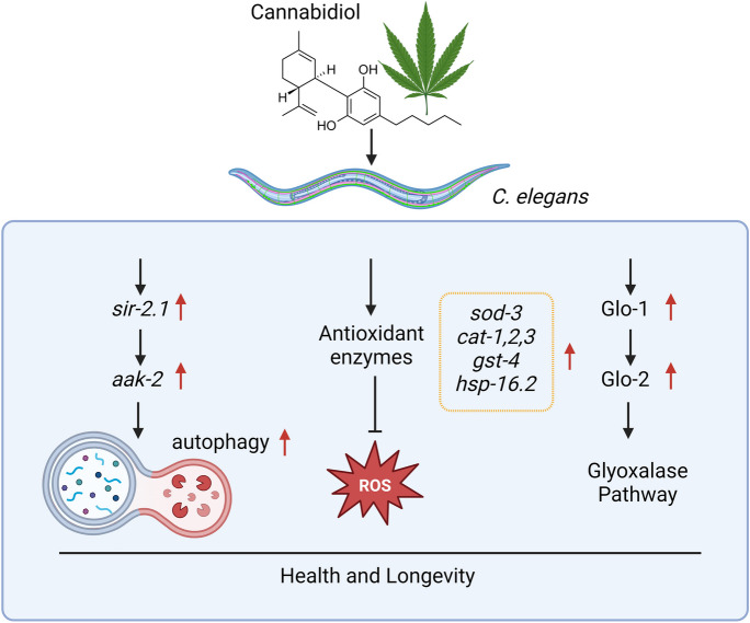 PMC11493940 – Fig5