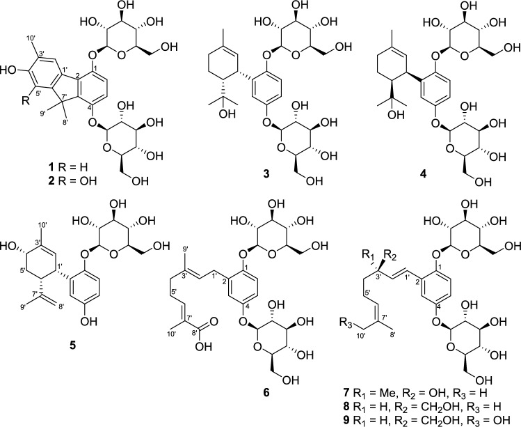 PMC12847176 – Fig1