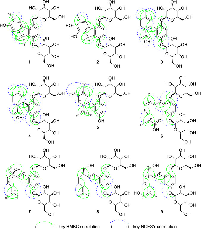 PMC12847176 – Fig2