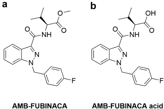 PMC9849163 – Fig1