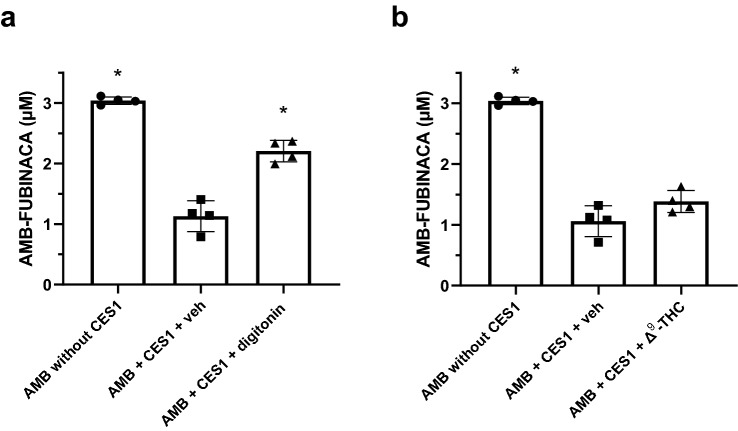 PMC9849163 – Fig6