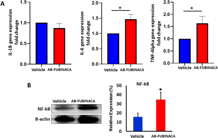 PMC11782324 – Fig5
