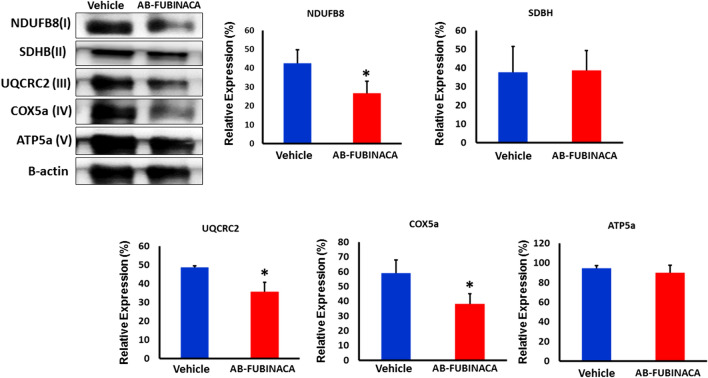 PMC11782324 – Fig7
