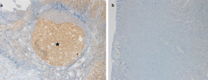 PMC12241184 – Fig5