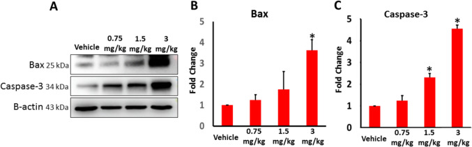 PMC12858522 – Fig5