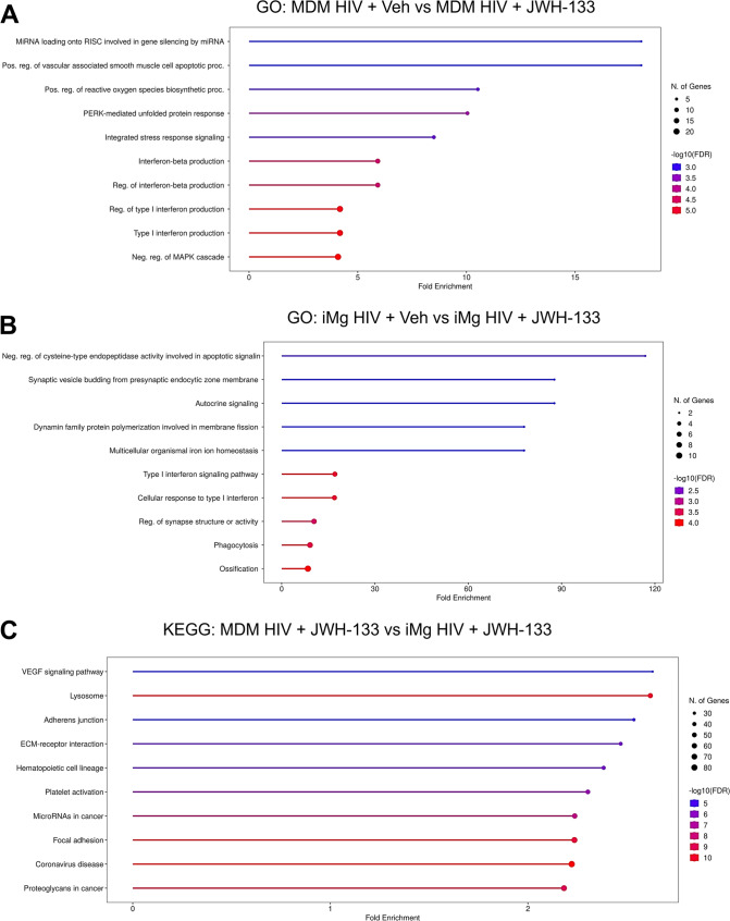 PMC12515222 – Fig4