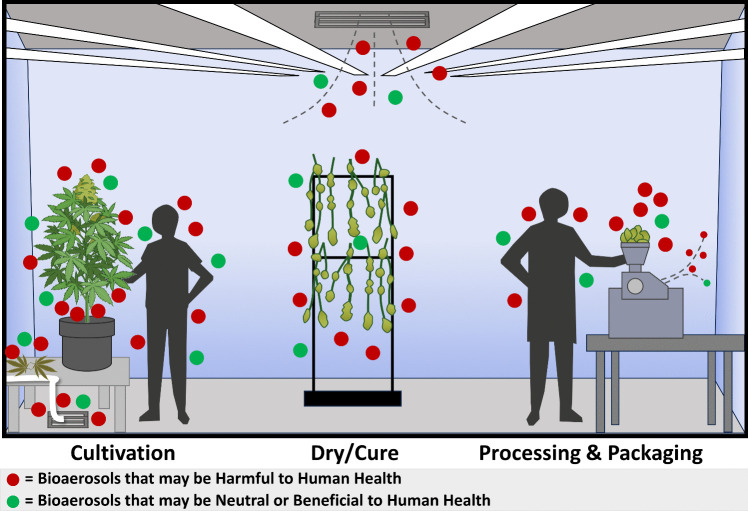 PMC11233357 – Fig1