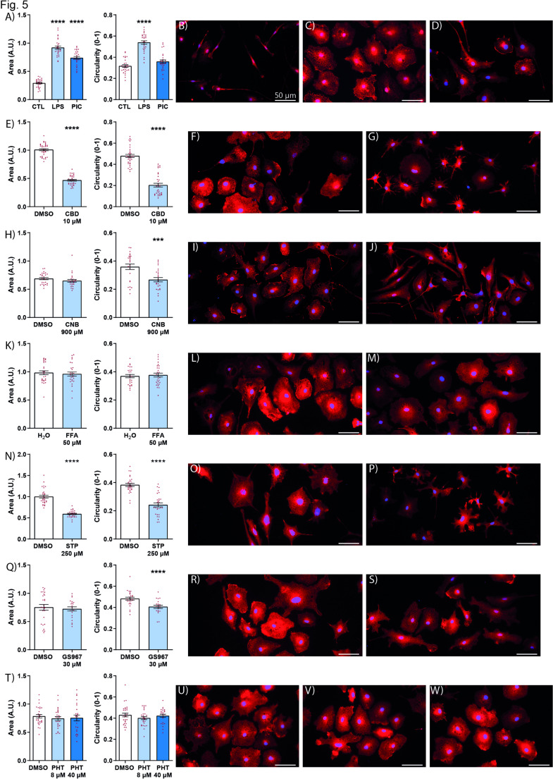 PMC12374903 – Fig5