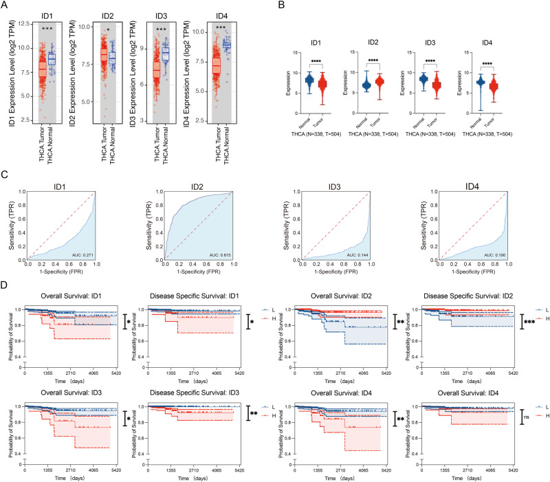 PMC11208273 – Fig1