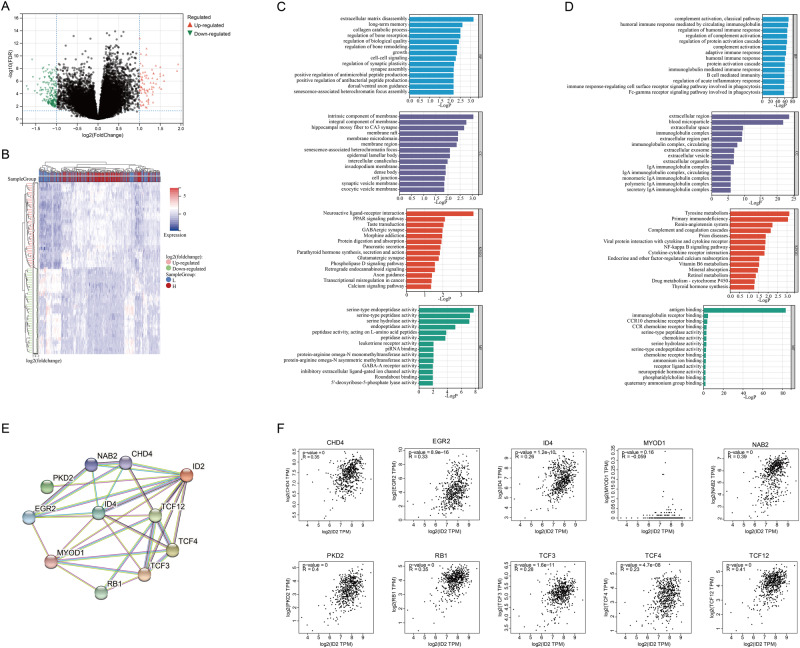 PMC11208273 – Fig2