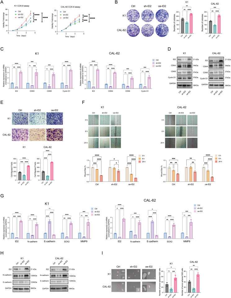 PMC11208273 – Fig3