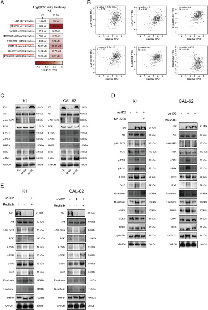 PMC11208273 – Fig5