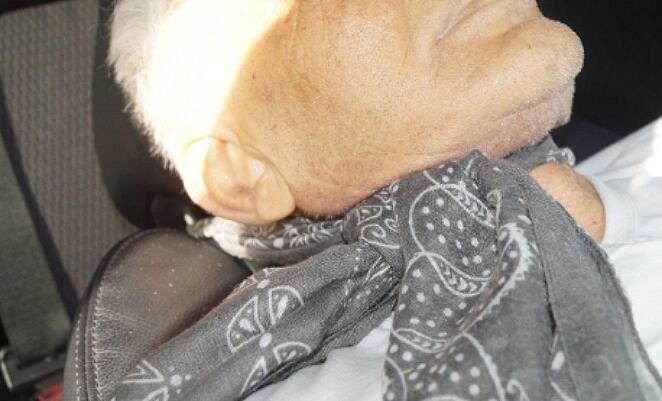 PMC11953212 – Fig2