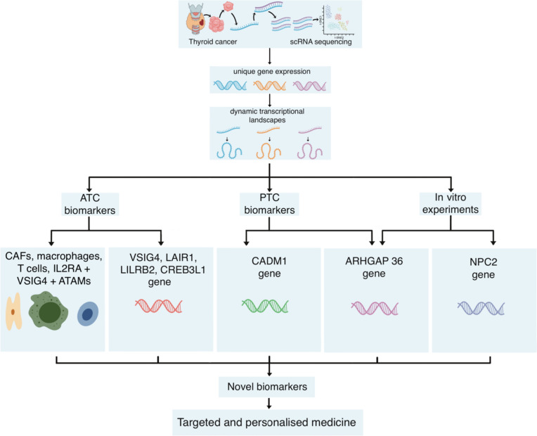 PMC10739406 – Fig3