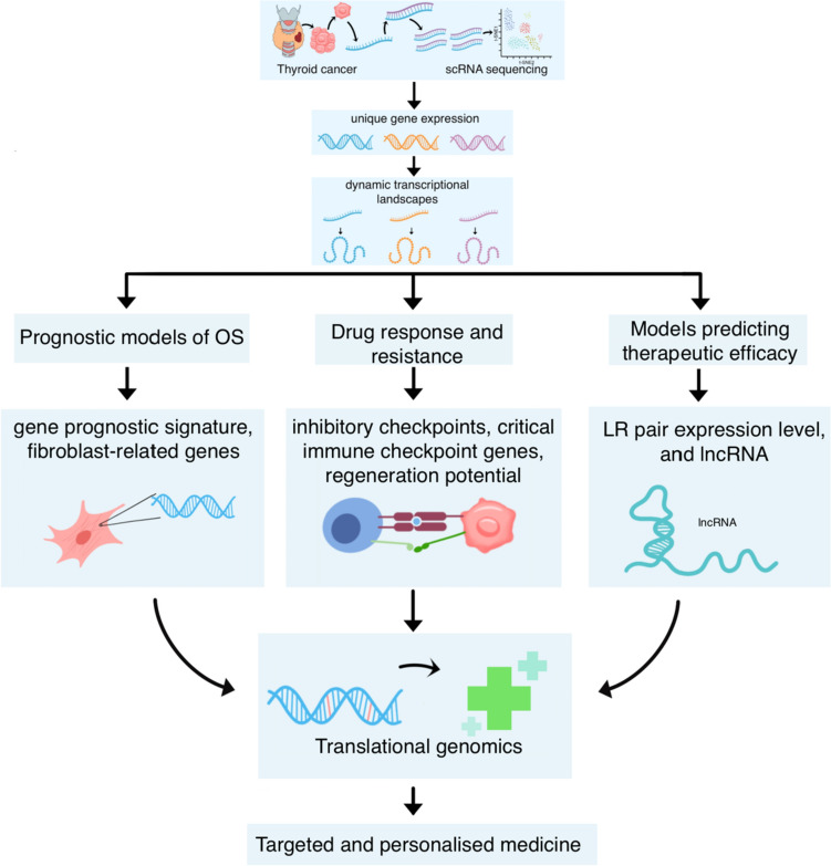 PMC10739406 – Fig4