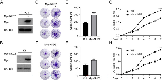PMC10518272 – Fig6
