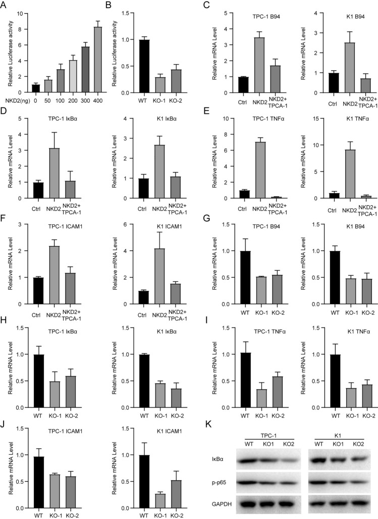 PMC10518272 – Fig7