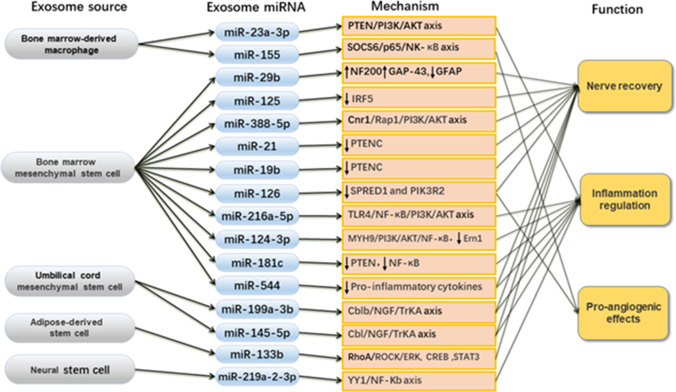 PMC9849169 – Fig2