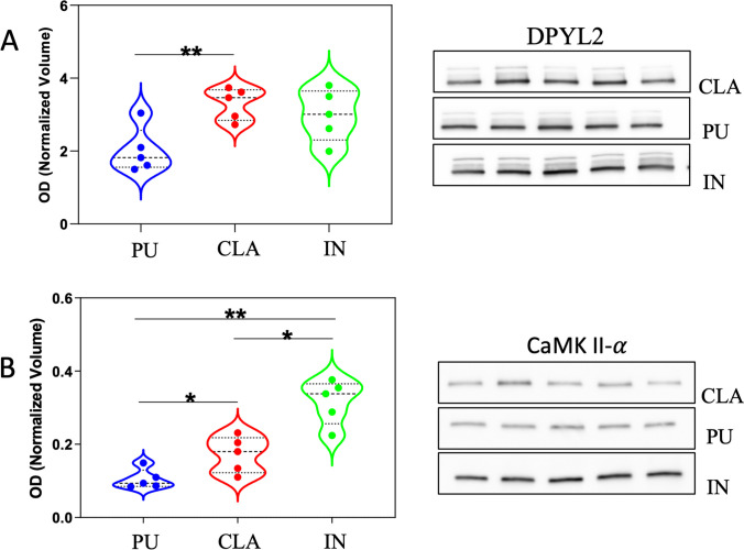 PMC10293365 – Fig9
