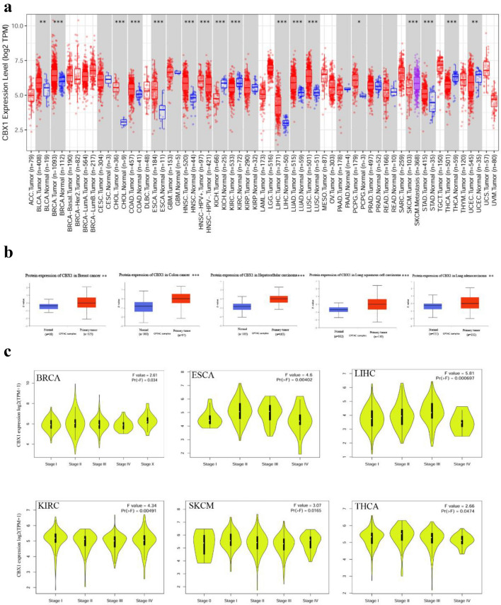 PMC11461582 – Fig1