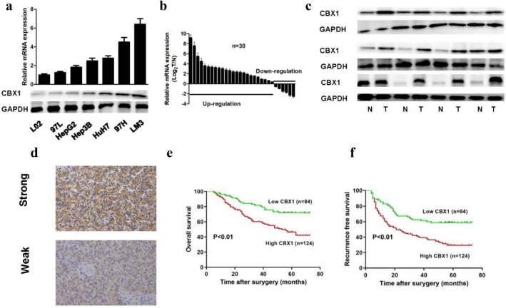 PMC11461582 – Fig3