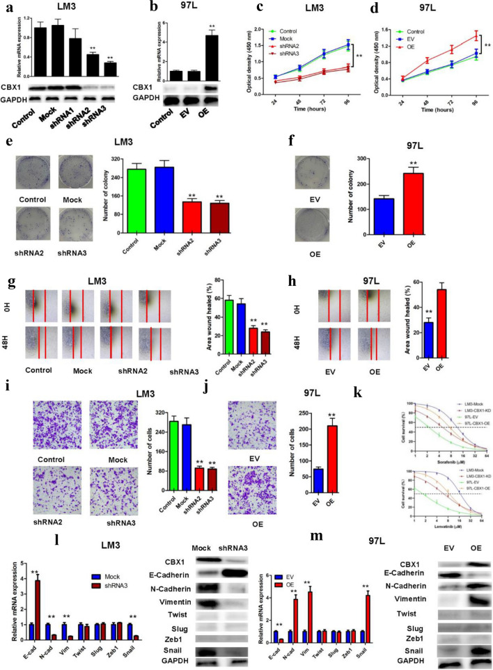 PMC11461582 – Fig4