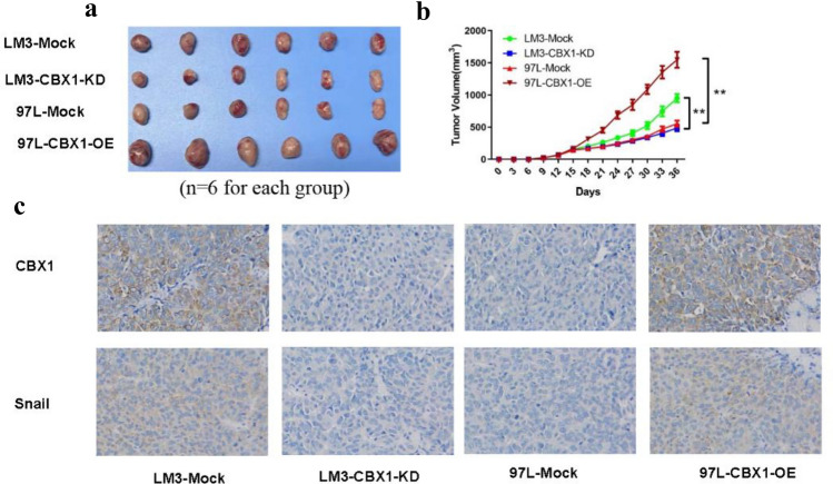 PMC11461582 – Fig5