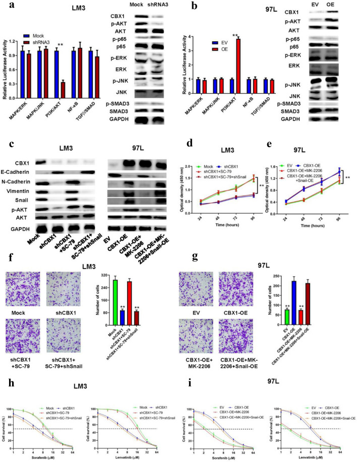 PMC11461582 – Fig6