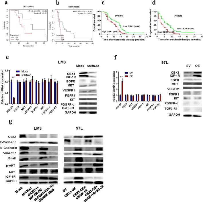 PMC11461582 – Fig7
