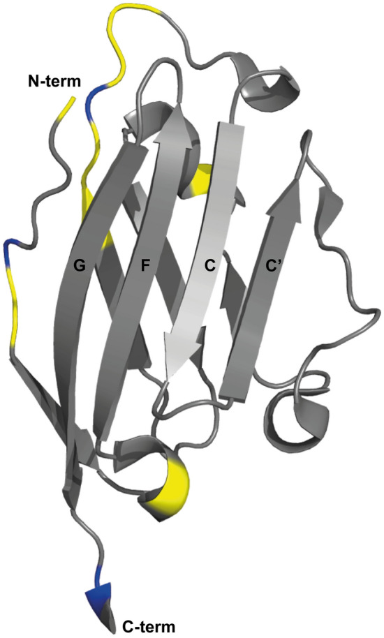 PMC9510113 – Fig2
