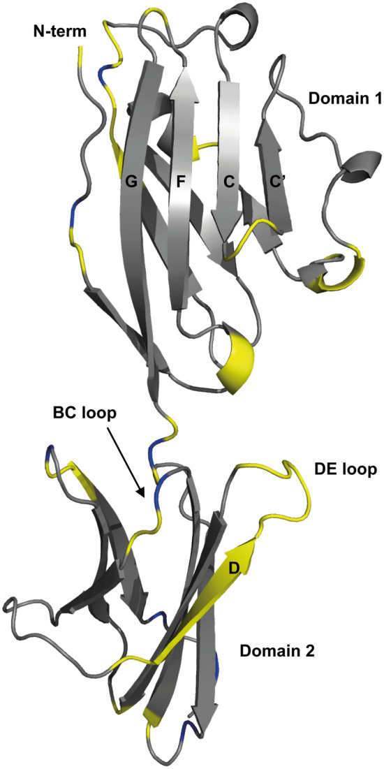 PMC9510113 – Fig4