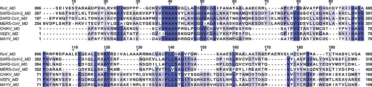 PMC12116708 – Fig1