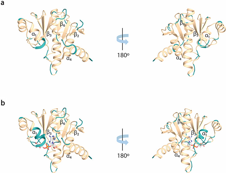 PMC12116708 – Fig3