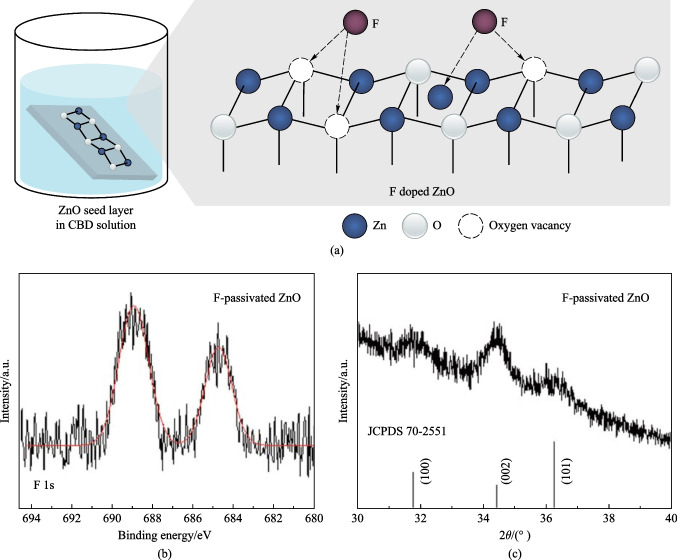 PMC10611680 – Fig1