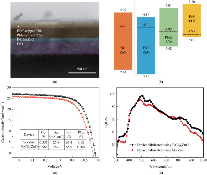 PMC10611680 – Fig5