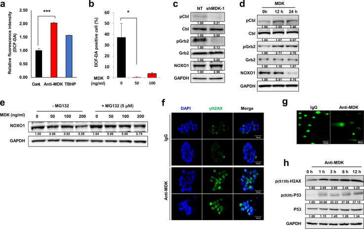 PMC6897967 – Fig4