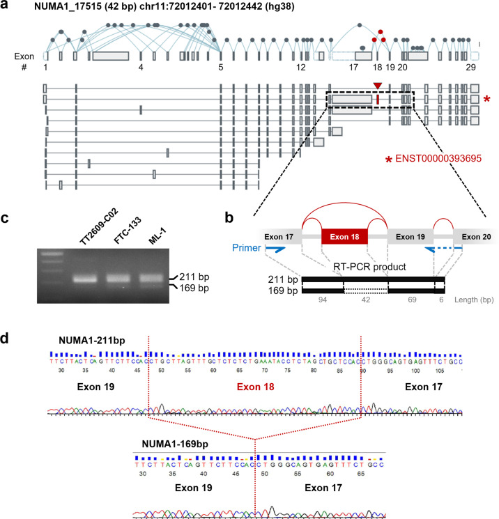 PMC8980103 – Fig3