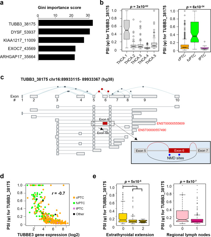 PMC8980103 – Fig4