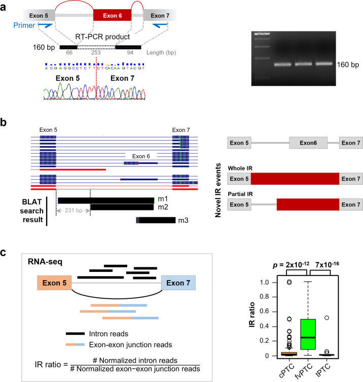 PMC8980103 – Fig5