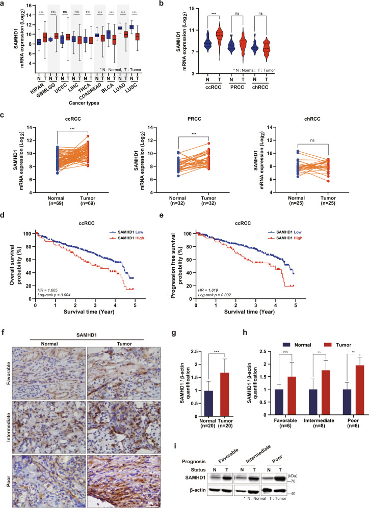 PMC10167369 – Fig1