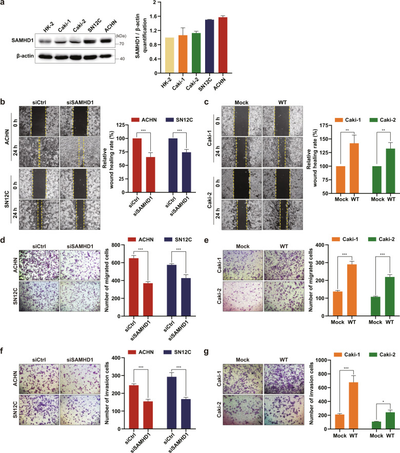 PMC10167369 – Fig2