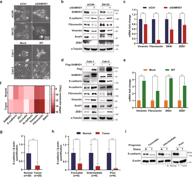 PMC10167369 – Fig3