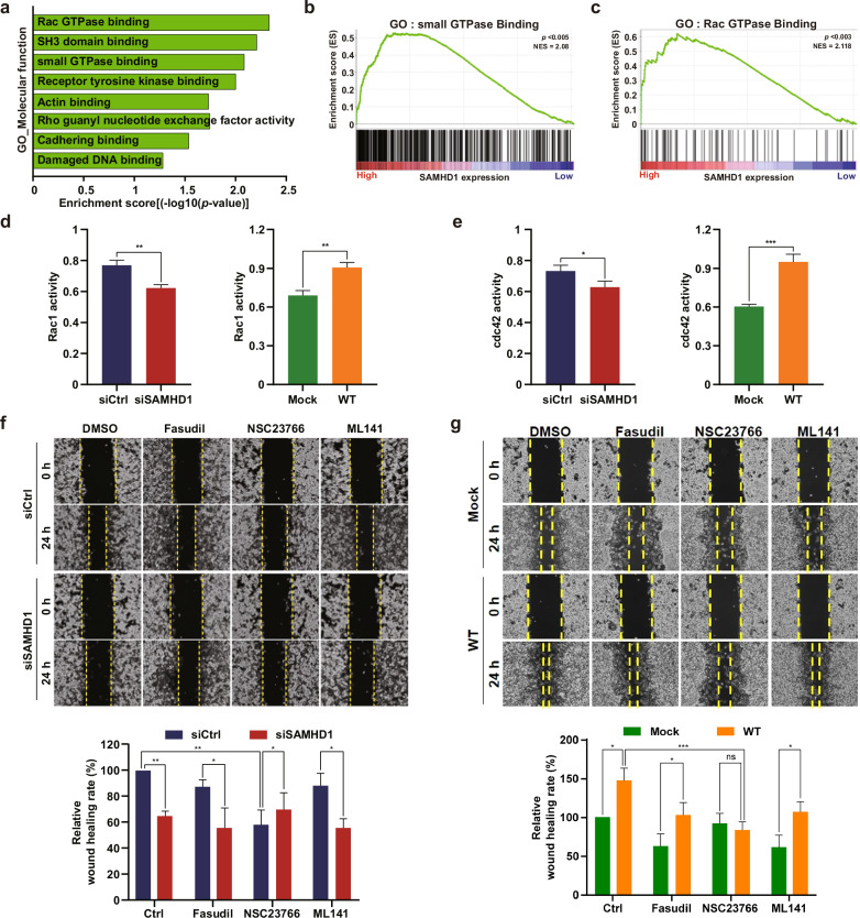 PMC10167369 – Fig5